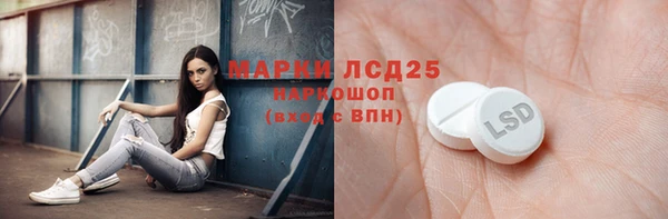 ПСИЛОЦИБИНОВЫЕ ГРИБЫ Алзамай