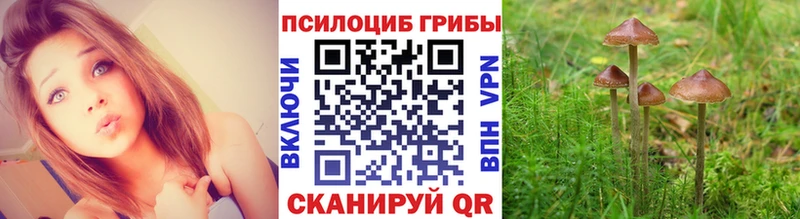 Галлюциногенные грибы мухоморы  даркнет сайт  Катав-Ивановск 